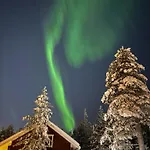 Peippo * Rovaniemi