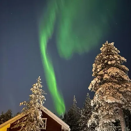 Peippo * Rovaniemi