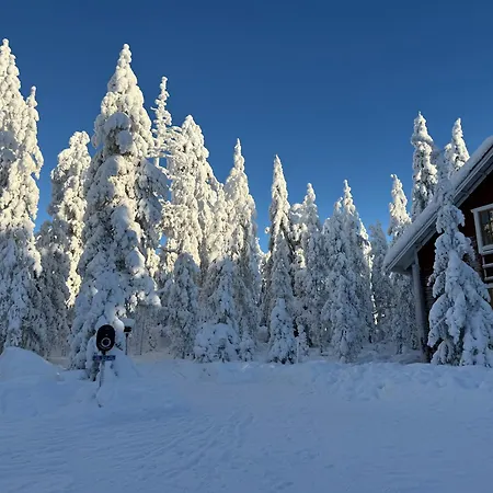 Peippo Сasa de vacaciones Rovaniemi