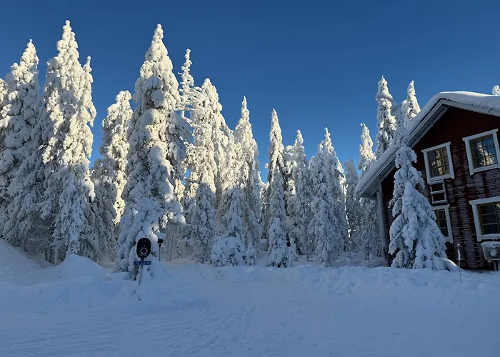 Peippo Hébergement de vacances Rovaniemi